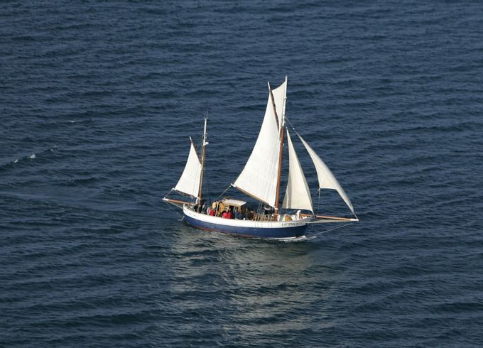 Iroko-Et-Chene Dundee