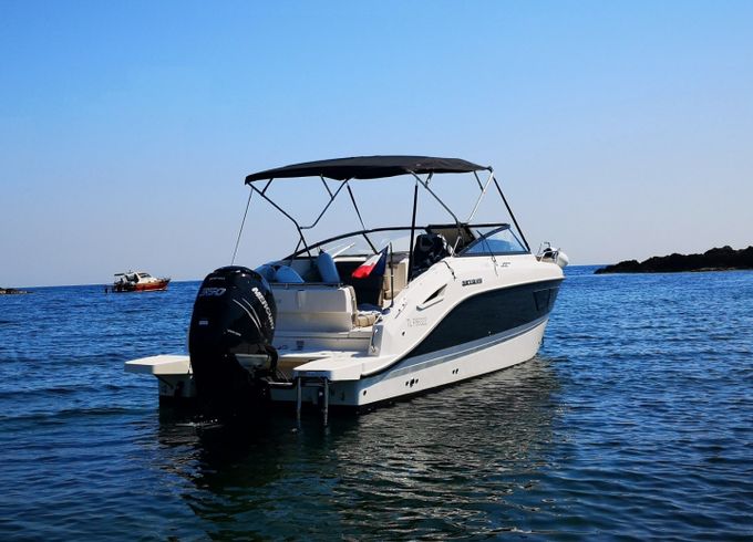 Quicksylver Activ 805 Cruiser