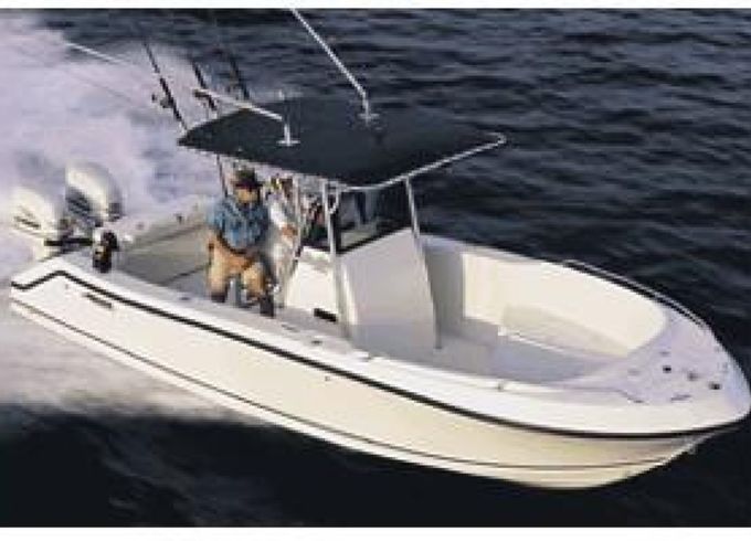 Fisherman Striker