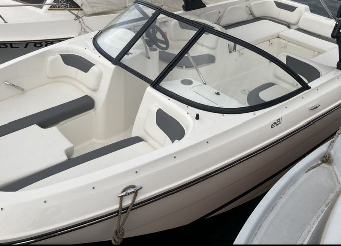 Bayliner Element E21