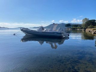 Stingher 22GT