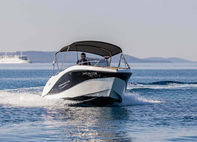 Barracuda 545