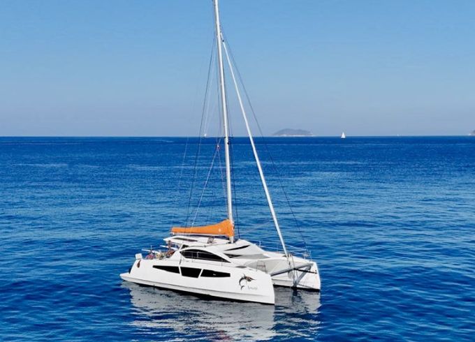 C-CAT 37