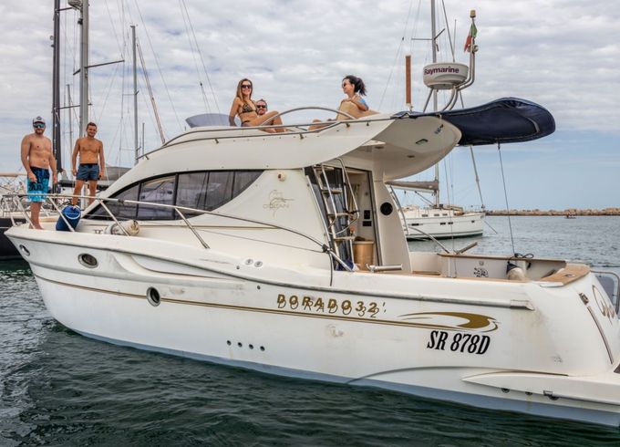 Sessa Marine Dorado 32