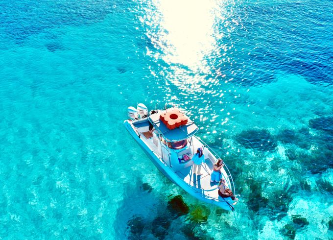 Costa Viola Cerion27.7