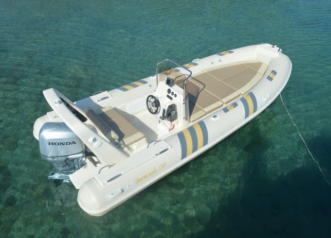 Barracuda 530