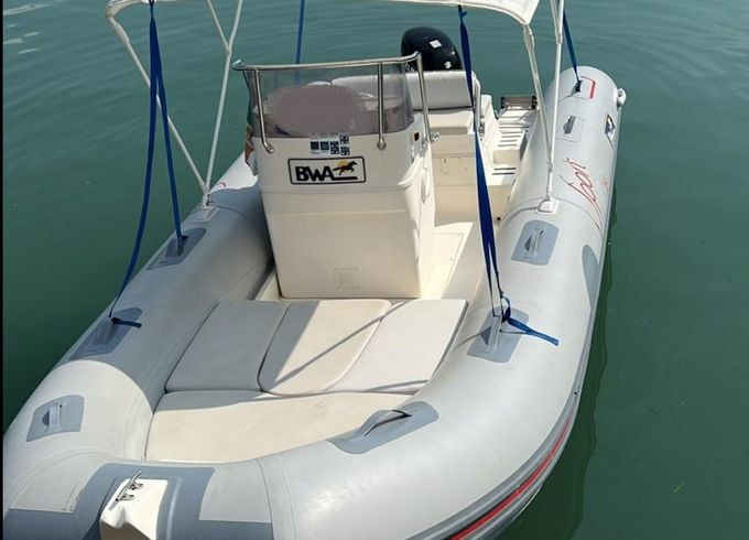 Bwa 550