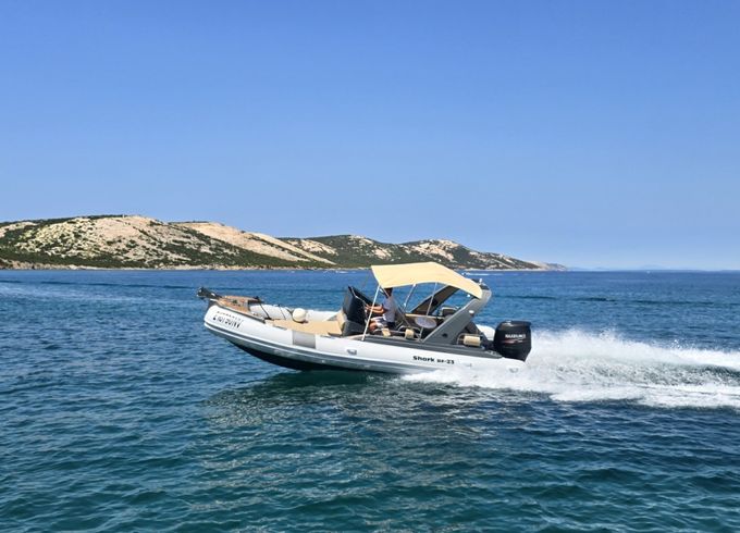 Grginić Shark 23