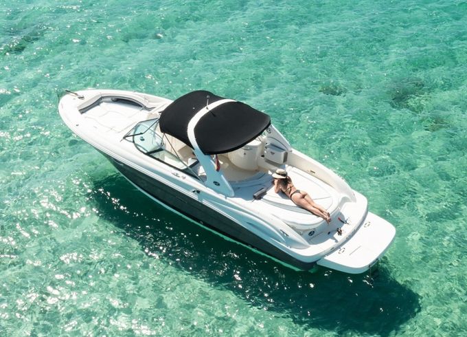 Sea Ray 290