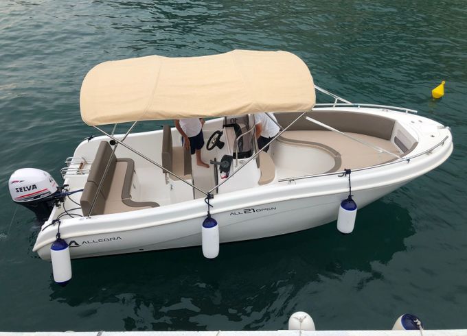 Allegra21