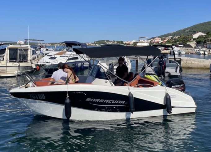 Barracuda 545