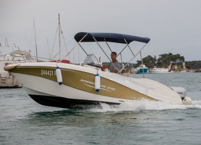 Barracuda 545