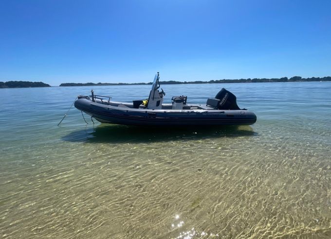 Zodiac Pro 7