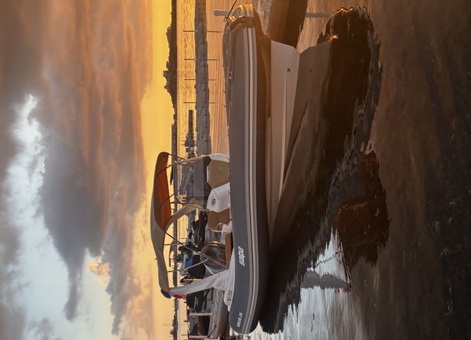 Salpa Soleil 26