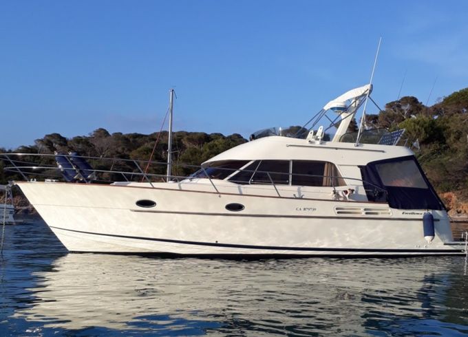 ACM EXCELLENCE 38