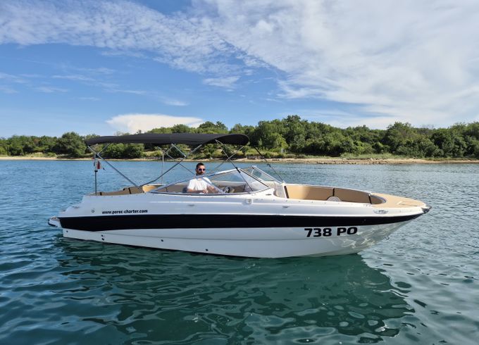Bayliner 249 SD