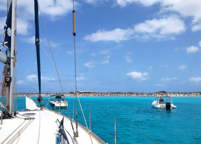 Bavaria 44
