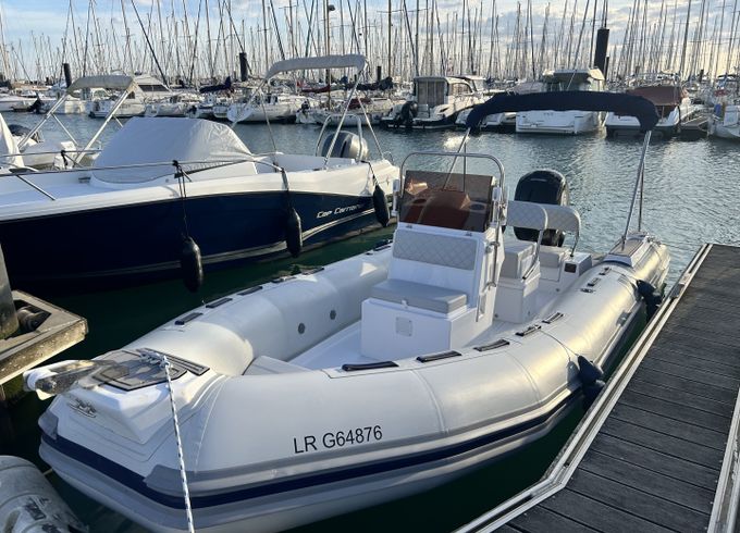 Tiger 600 OPEN