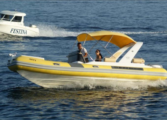Rib Baracuda