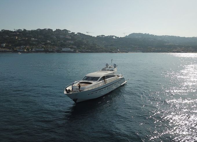 Leopard 31
