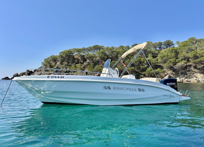 Orizzonti ANDROMEDA (NEW 2024)