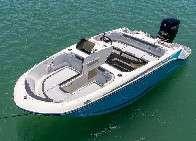 Bayliner M17