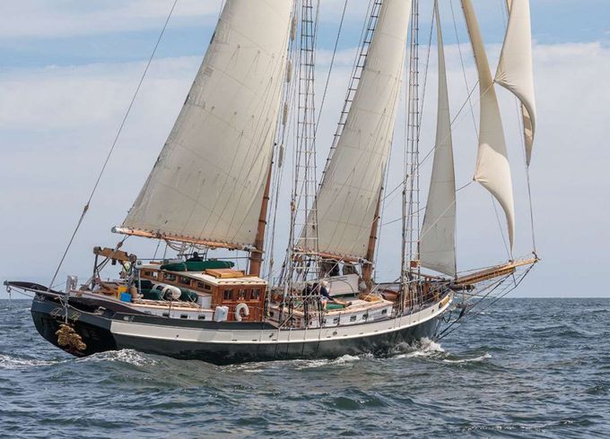 Covey Island Boatworks TREE OF LIFE