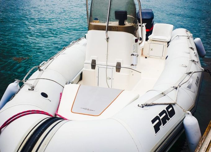 Zodiac Pro Open 550