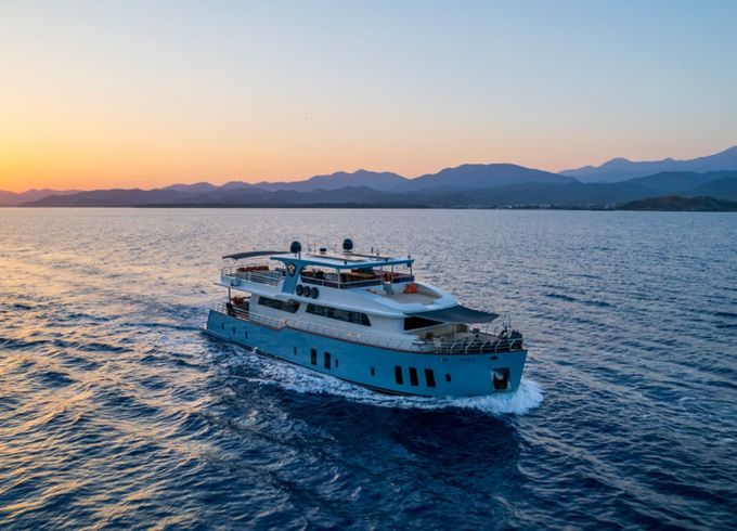 Custom Made Trawler