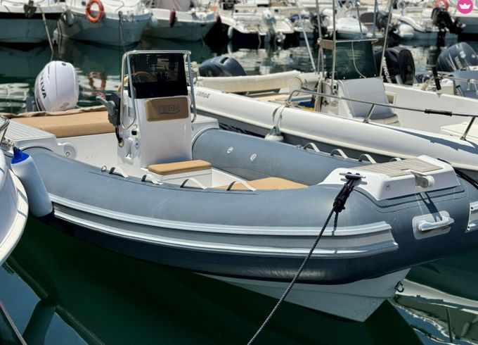 Noah Battelli Noah 55