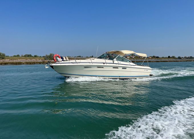 Sea Ray 310 Express