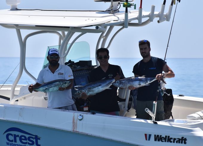 Wellcraft Fisherman 262