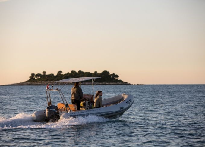 STINGHER 550