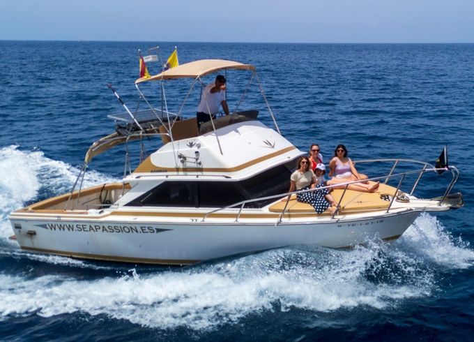 Bertram 28 flybrigde