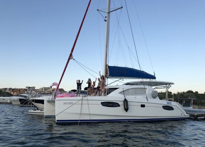 Leopard 38