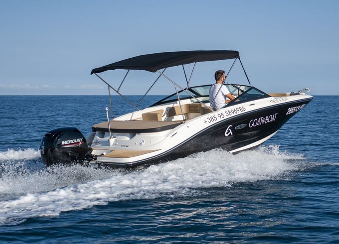 Sea Ray SPX 190 OB