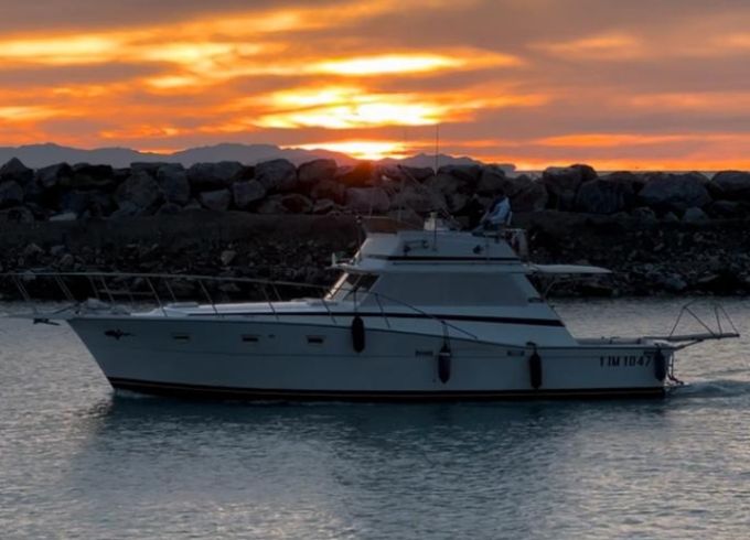 Viking 41