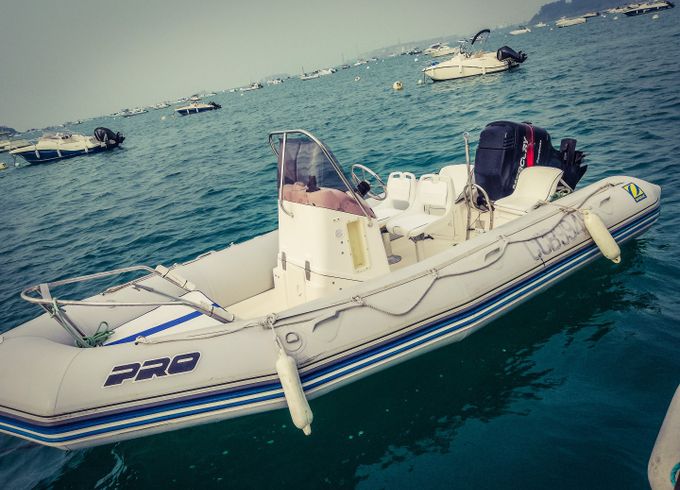 Zodiac Pro Open 550