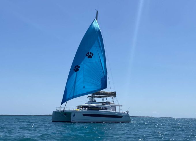 Bali NAUTI DOGS 5.4