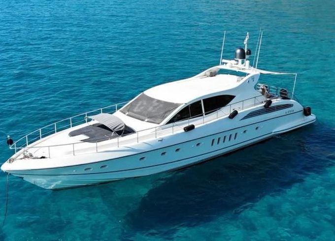 Arno Leopard Leopard 24