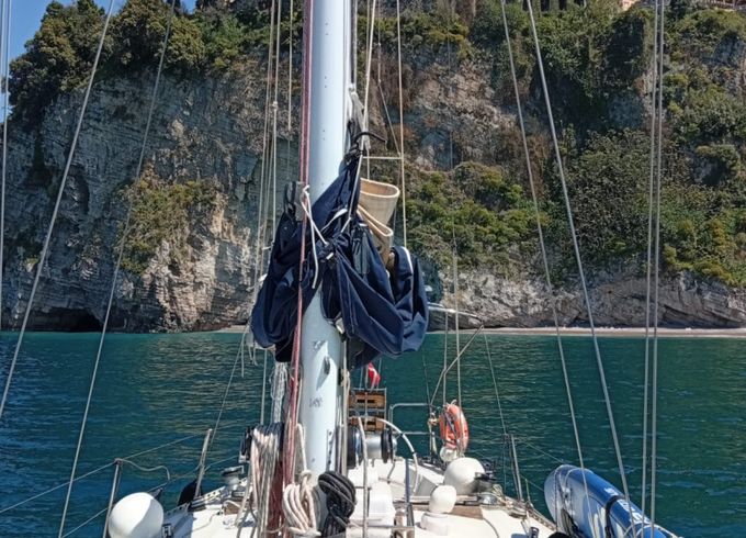 Orca 43