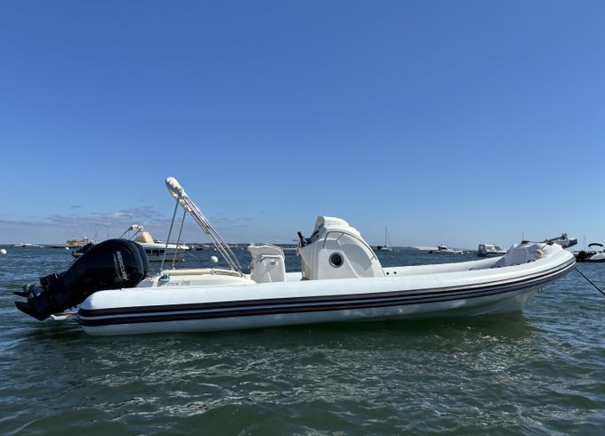 Nuova Jolly Prince 28