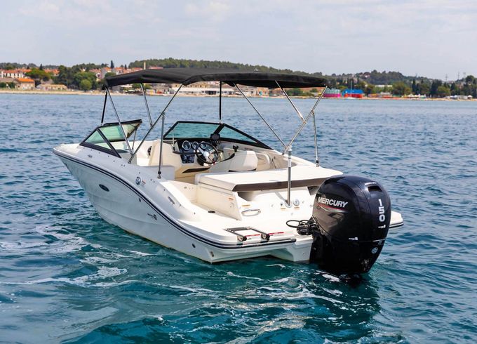 Sea Ray SPX 190