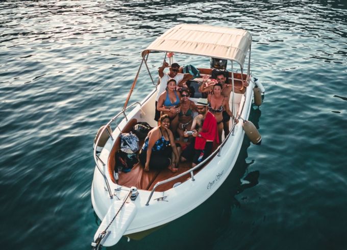 Albatross 22
