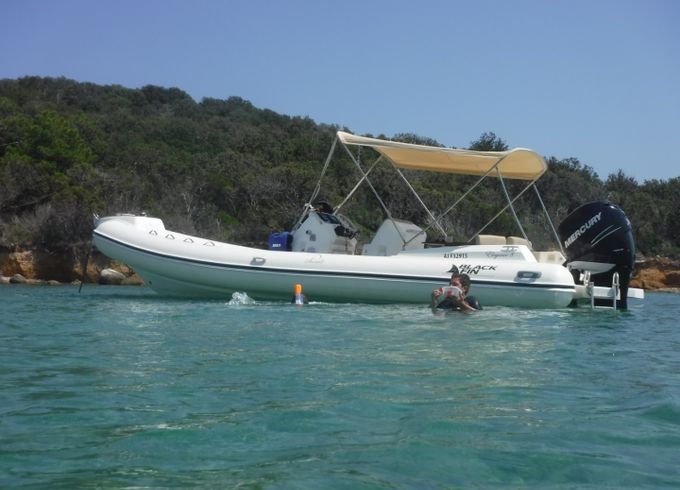Black Fin Blackfin 8 Elegance