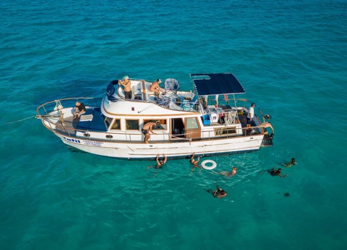 Defever 40