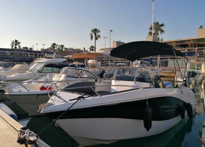 Barracuda 545