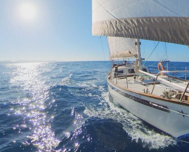 Belliure Endurance 35