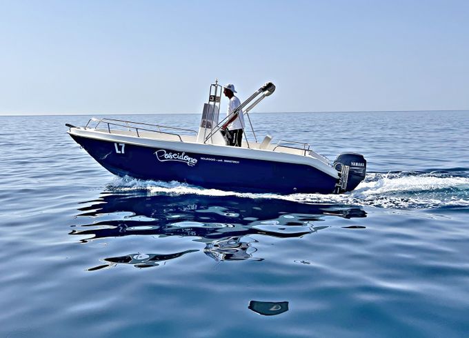 Lazzari 565