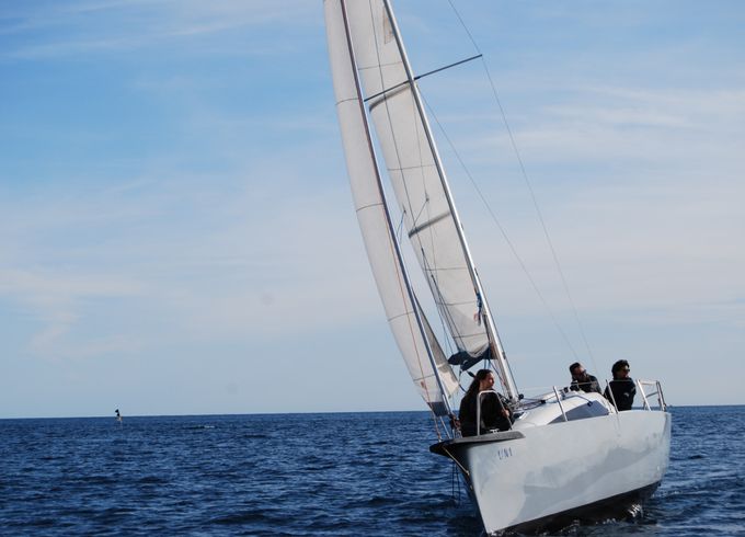 Viko 22s